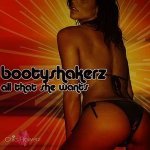 Bootyshakerz - All That She Wants (Sugar Remix)