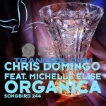 Chris Domingo feat. Miss T - Say (MEXX BEAT Remix)