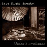 Late Night Sneaky - The Midnight Hour