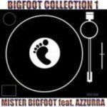 Mister Bigfoot feat. Azzurra - Crush (Radio Edit)
