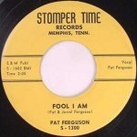 Pat Ferguson - Fool I Am