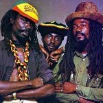 Roots & Culture - Shebrock Dub