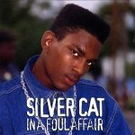 Silver Cat - The Club