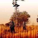 Soweto String Quartet & Khanyo Maphumulo