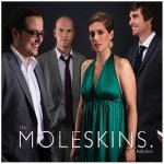 The Moleskins - I'm Still Standing