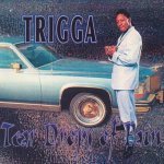 Trigga - Welcome To My City