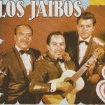 Trio Los Jaibos - Amor de Mis Amores