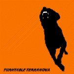 Turntable Terranova - Precipice